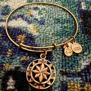 Compass Alex and Ani copper bracelet